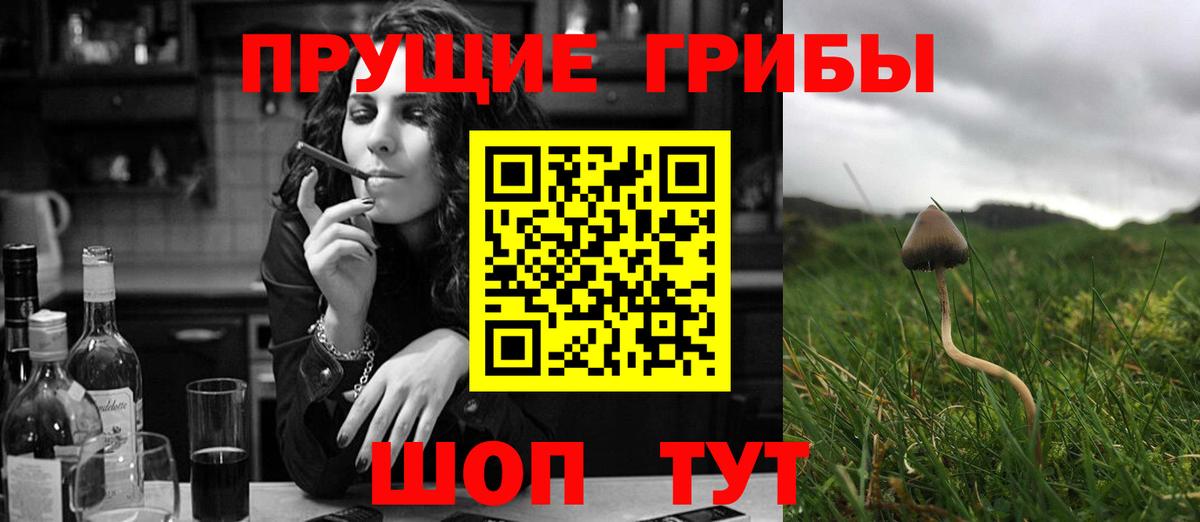 Галлюциногенные грибы Magic Shrooms Ленинск-Кузнецкий